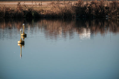 reflection