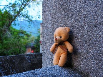 Close-up of stuffed toy on tree