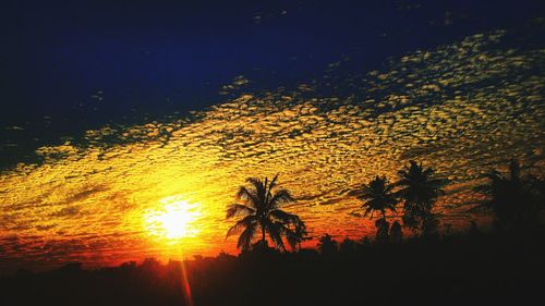 Silhouette trees on beach at sunset