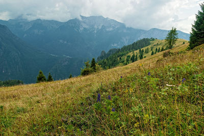 Scenic view of mountains against sky