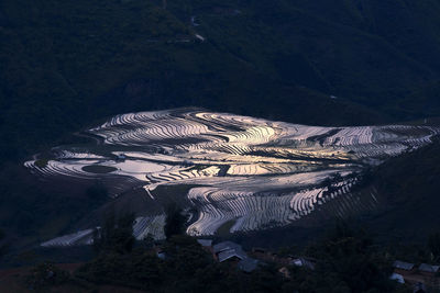 High angle view of trees on mountain