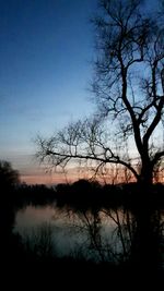 Silhouette bare trees on landscape against clear sky