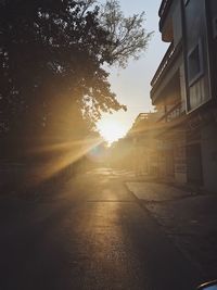 Sunlight streaming through trees in city at sunset