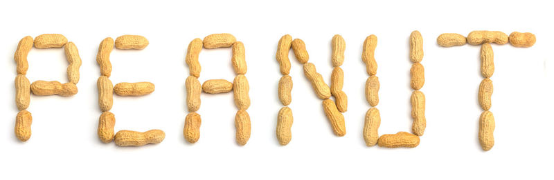 High angle view of cookies against white background