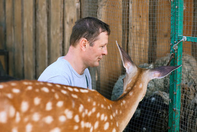 A man feeding cute spotted deer bambi at contact zoo. 