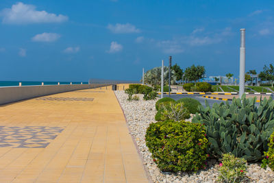 Plants growing by footpath against sky