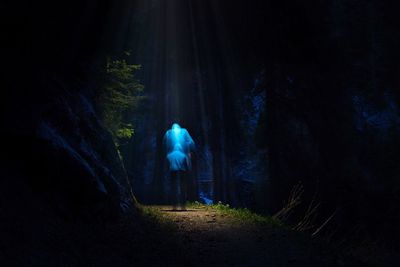 Rear view of person walking in forest at night