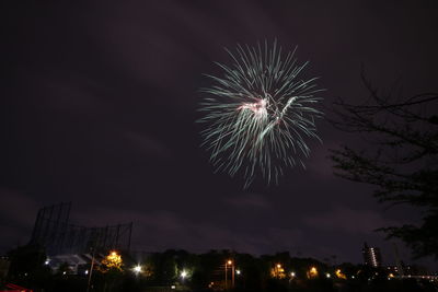 Low angle view of firework display at night