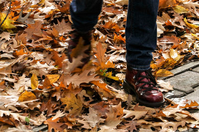 Low section of man standing on fallen leaves