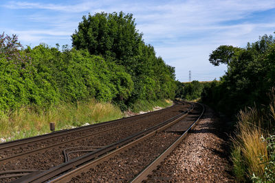 Railroad tracks amidst trees against sky