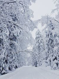 Snow covered mountain against sky