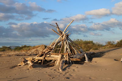 Driftwood on sandy beach against sky