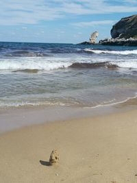 Scenic view of beach against sky