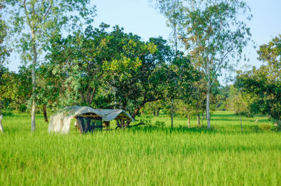 Scenic view of farm against sky