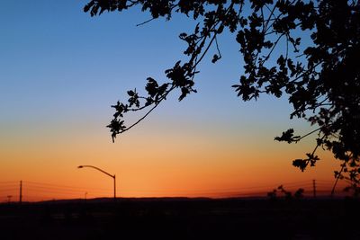 Silhouette trees on landscape against sky during sunset