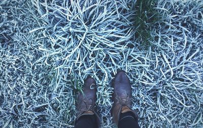 Low section of man standing on grass