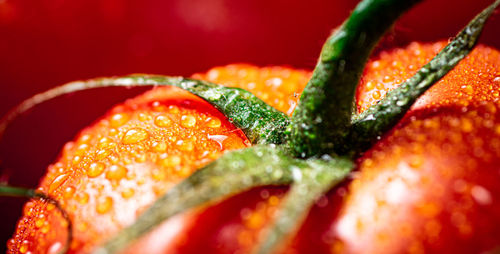 Close-up of strawberry