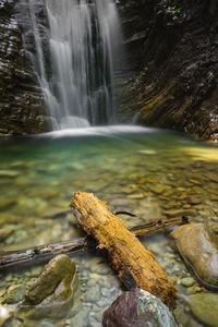 Scenic view of waterfall in forest