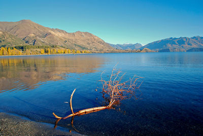 Scenic view of lake against blue sky