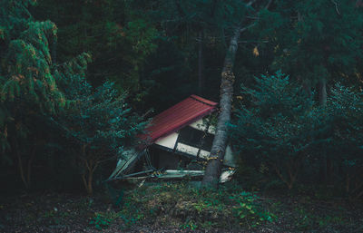 Empty bench on field in forest