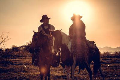 Horse on field during sunset