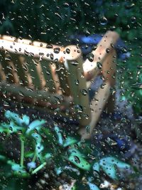 Close-up of water drops on glass window