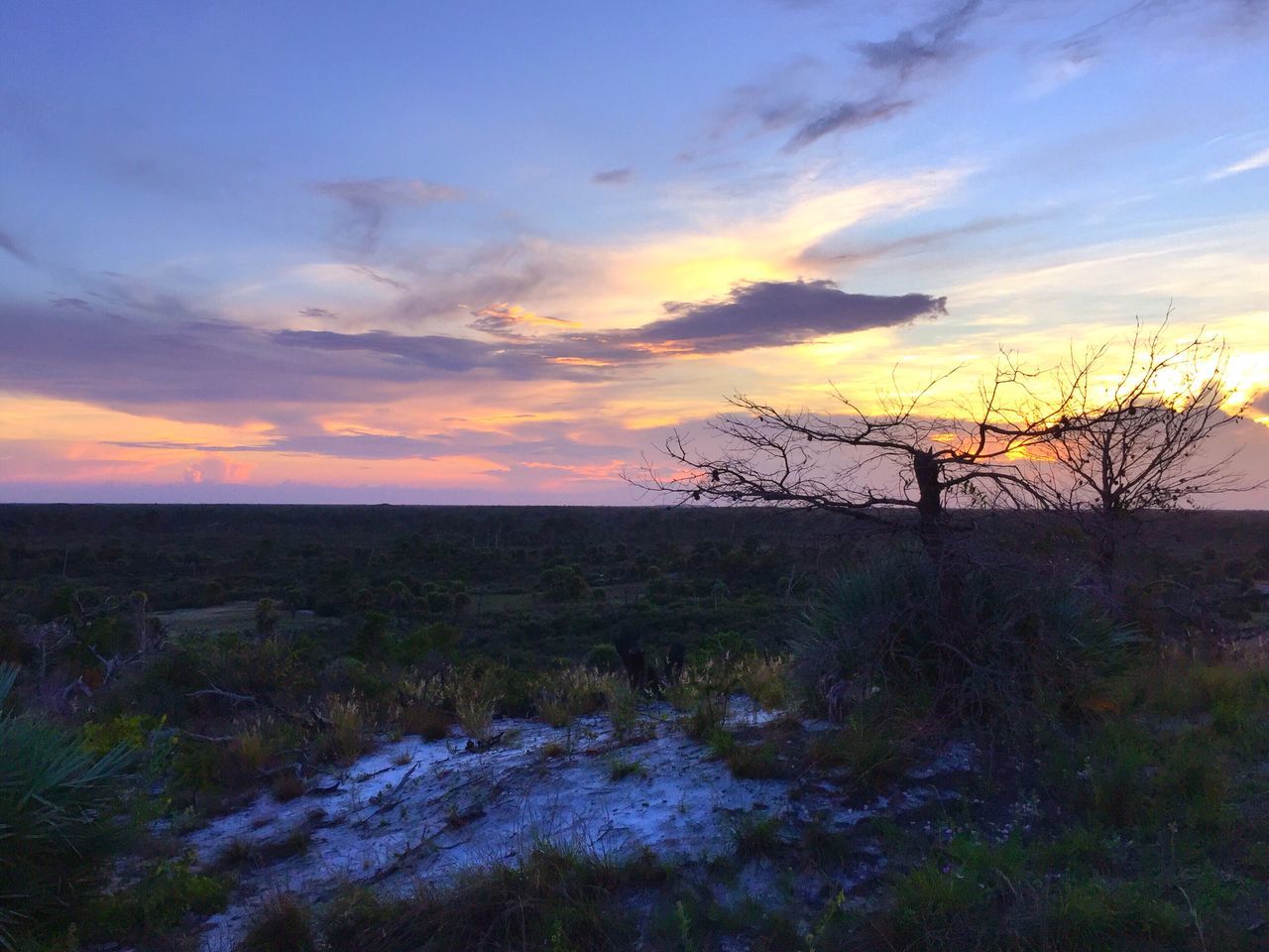 SCENIC VIEW OF GRASSY FIELD AT SUNSET