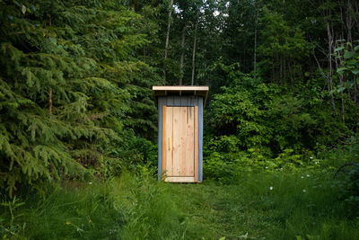 Outhouse in the forest