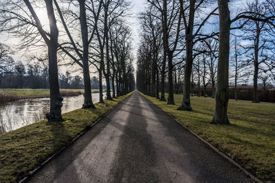 Road amidst bare trees