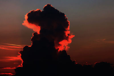 Low angle view of silhouette orange sky