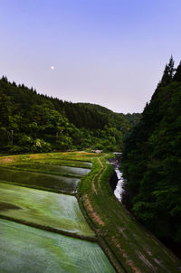 Scenic view of landscape against clear sky