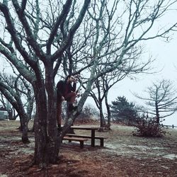 Man sitting on bench by bare tree