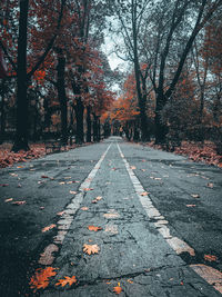 Road amidst trees in forest during autumn