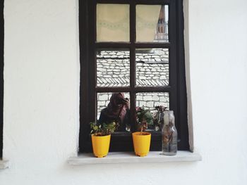 Yellow cat on window sill