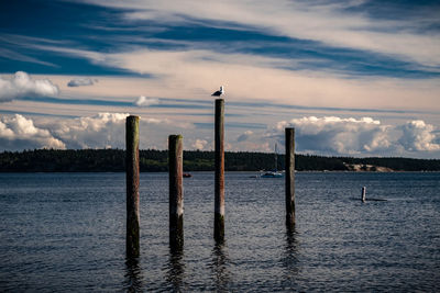 Wooden posts in sea against sky