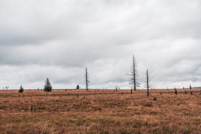 Panoramic view of field against sky