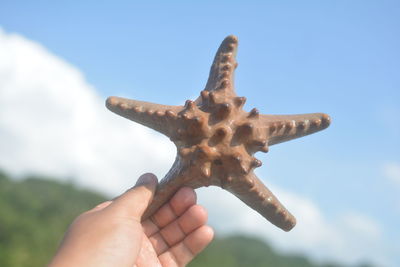 Close-up of human hand holding starfish against sky