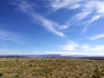 Scenic view of landscape against blue sky