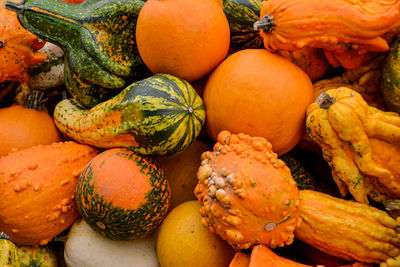 Full frame shot of pumpkins in market