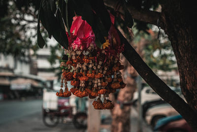 Close-up of wilted floral garland hanging on tree