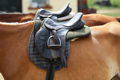 Close-up of person wearing shoes