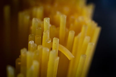 Close-up of lemon slice in container