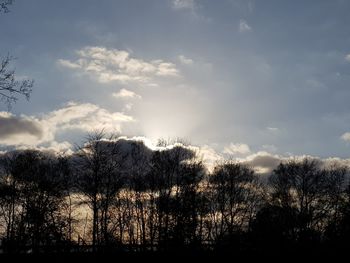 Silhouette trees in forest against sky