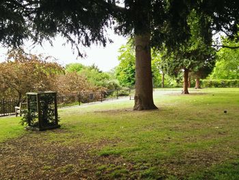 View of trees on grassy field