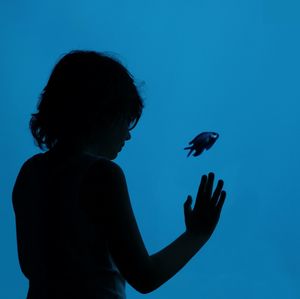 Rear view of silhouette boy looking at fish swimming in aquarium