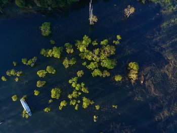 High angle view of water