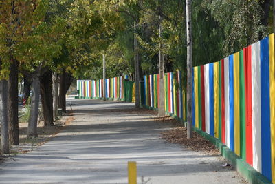 Empty road amidst trees