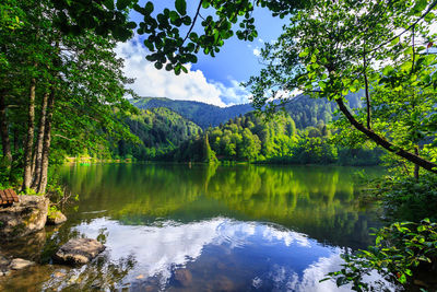Scenic view of lake by trees against sky