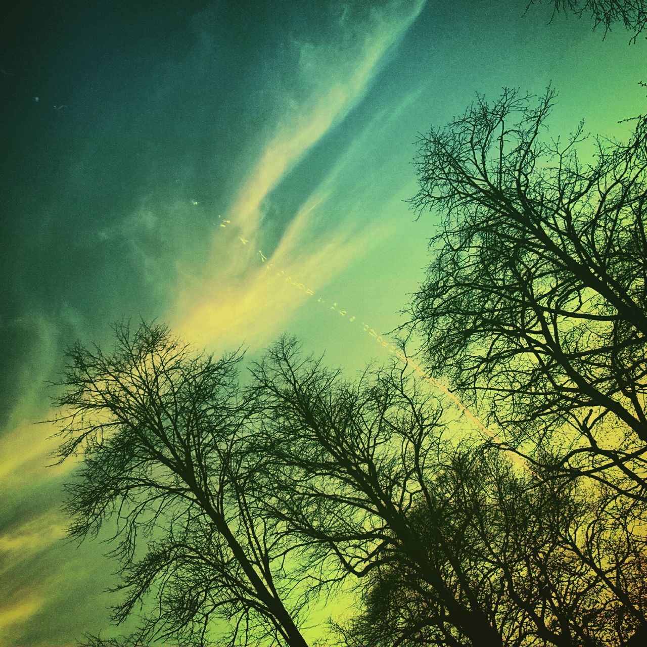 sky, tranquility, tree, beauty in nature, sunset, scenics, tranquil scene, low angle view, silhouette, nature, branch, cloud - sky, idyllic, bare tree, orange color, growth, outdoors, cloud, no people, majestic