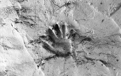 High angle view of human hand on sand